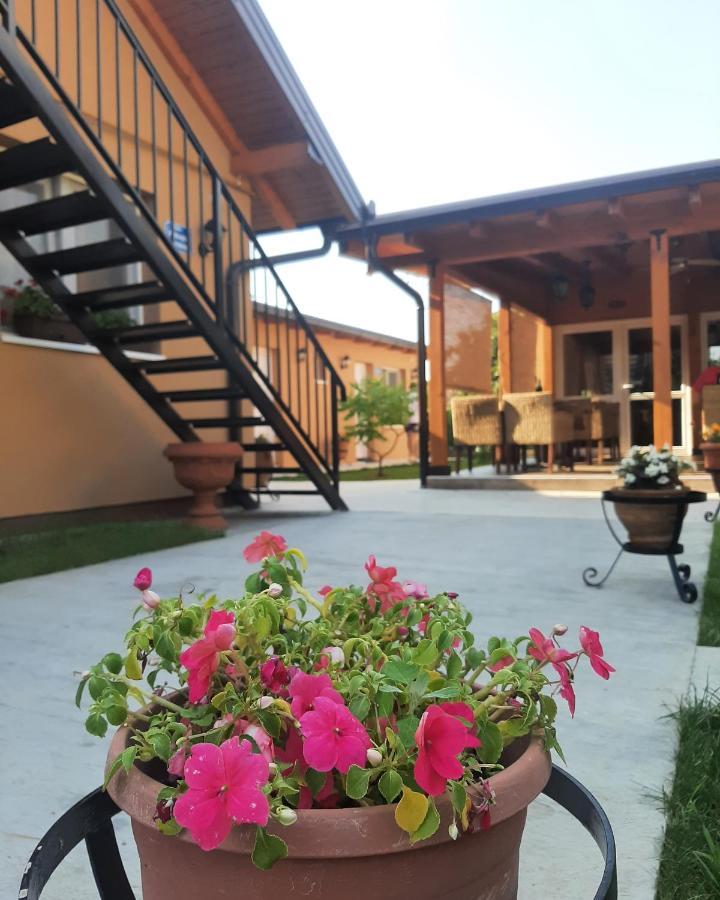 Villa Klara Újvidék Kültér fotó