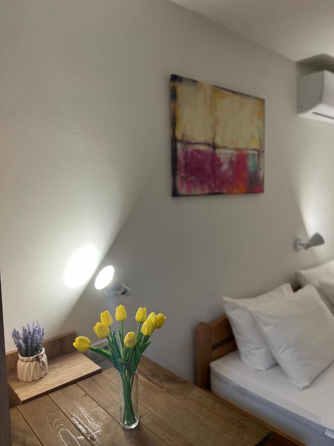 Villa Klara Újvidék Kültér fotó